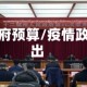 疫情政府预算/疫情政府支出