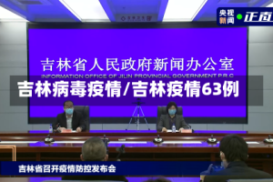吉林病毒疫情/吉林疫情63例