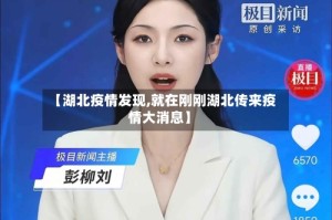 【湖北疫情发现,就在刚刚湖北传来疫情大消息】