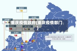 重庆疫情政府(重庆疫情部门)
