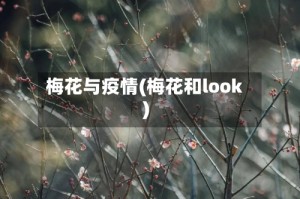 梅花与疫情(梅花和look)
