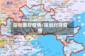 深圳面对疫情/深圳对待疫情