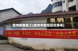 宜州疫情复工(宜州市新型冠状病毒)