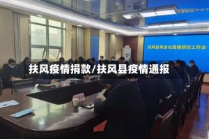 扶风疫情捐款/扶风县疫情通报