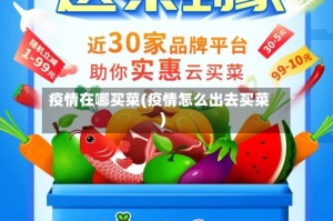 疫情在哪买菜(疫情怎么出去买菜)