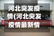 河北突发疫情(河北突发疫情最新情况)