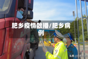 肥乡疫情散播/肥乡病例