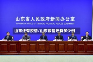 山东还有疫情/山东疫情还有多少例