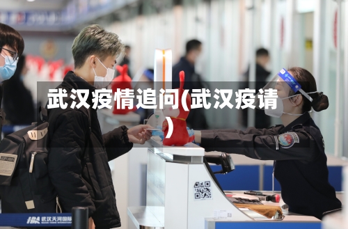 武汉疫情追问(武汉疫请)-第3张图片