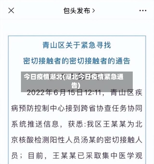 今日疫情湖北(湖北今日疫情紧急通告)-第2张图片