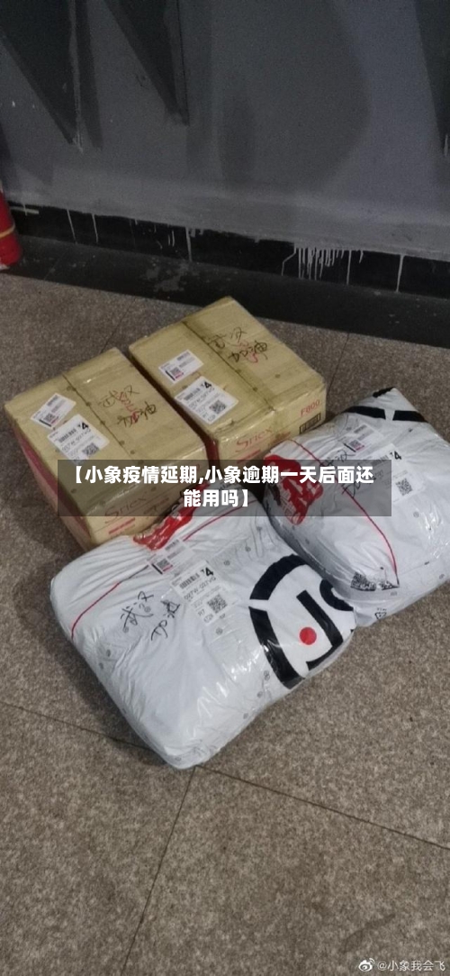 【小象疫情延期,小象逾期一天后面还能用吗】-第1张图片