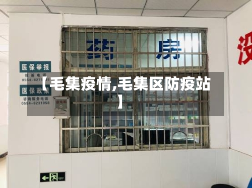 【毛集疫情,毛集区防疫站】-第2张图片