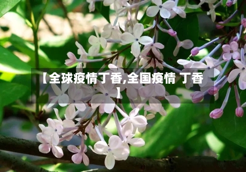 【全球疫情丁香,全国疫情 丁香】-第1张图片