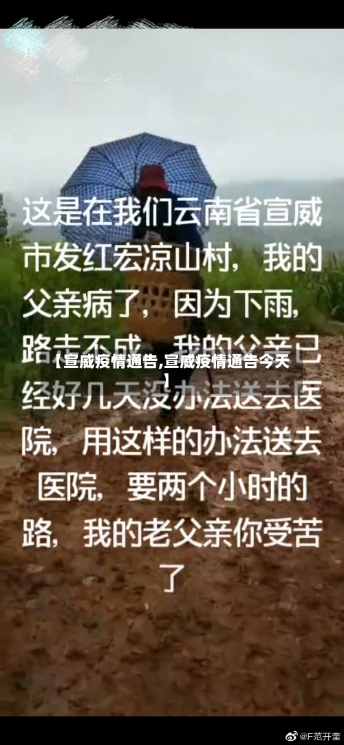 【宣威疫情通告,宣威疫情通告今天】-第1张图片