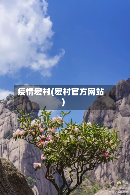 疫情宏村(宏村官方网站)-第2张图片