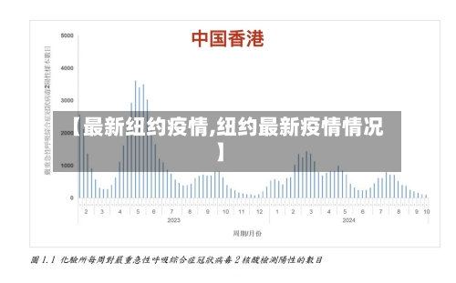 【最新纽约疫情,纽约最新疫情情况】-第2张图片