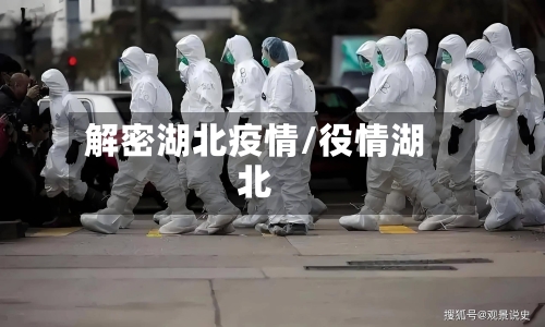 解密湖北疫情/役情湖北-第2张图片