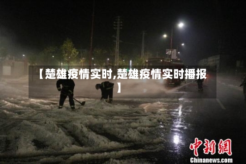 【楚雄疫情实时,楚雄疫情实时播报】-第3张图片