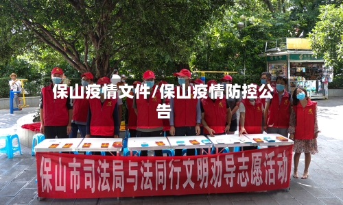 保山疫情文件/保山疫情防控公告-第1张图片