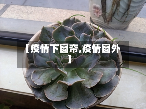 【疫情下窗帘,疫情窗外】-第3张图片