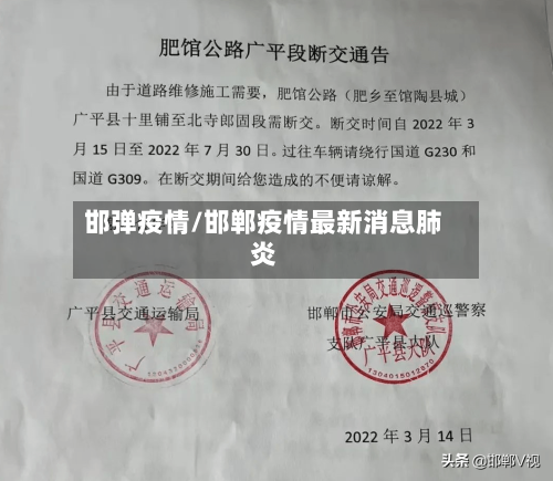 邯弹疫情/邯郸疫情最新消息肺炎-第1张图片