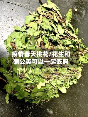 疫情春天桃花/花生和蒲公英可以一起吃吗-第1张图片