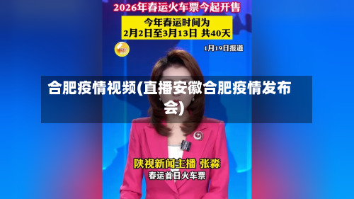 合肥疫情视频(直播安徽合肥疫情发布会)-第2张图片