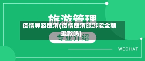 疫情导游取消(疫情取消旅游能全额退款吗)-第1张图片