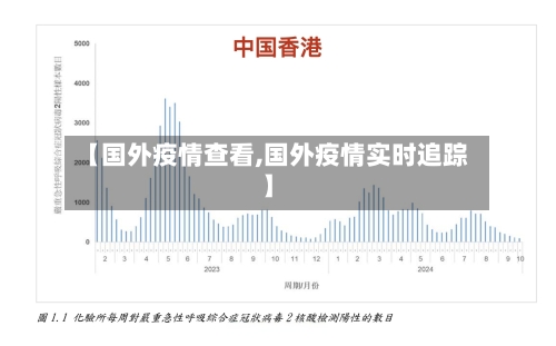 【国外疫情查看,国外疫情实时追踪】-第1张图片