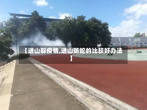 【进山躲疫情,进山防蛇的比较好办法】-第2张图片