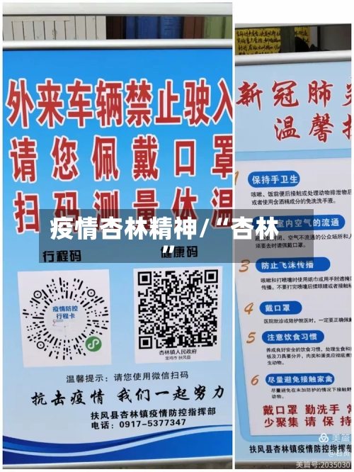 疫情杏林精神/“杏林”-第2张图片