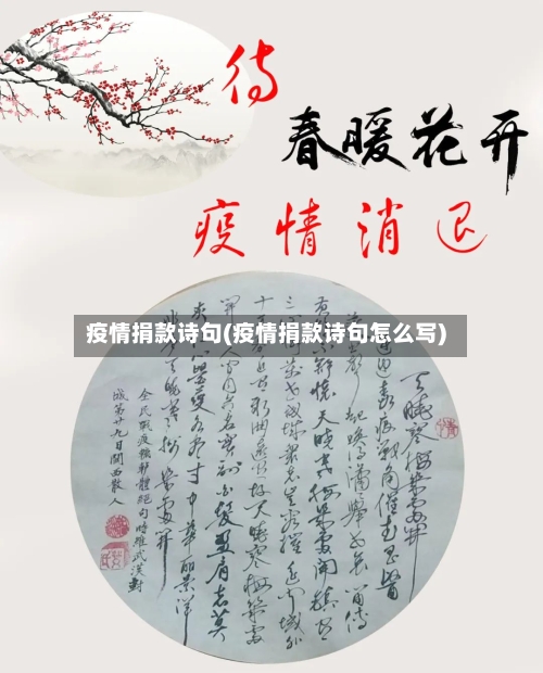 疫情捐款诗句(疫情捐款诗句怎么写)-第2张图片