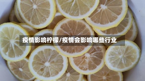 疫情影响柠檬/疫情会影响哪些行业-第2张图片