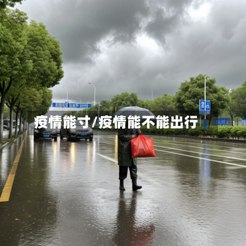 疫情能寸/疫情能不能出行-第1张图片