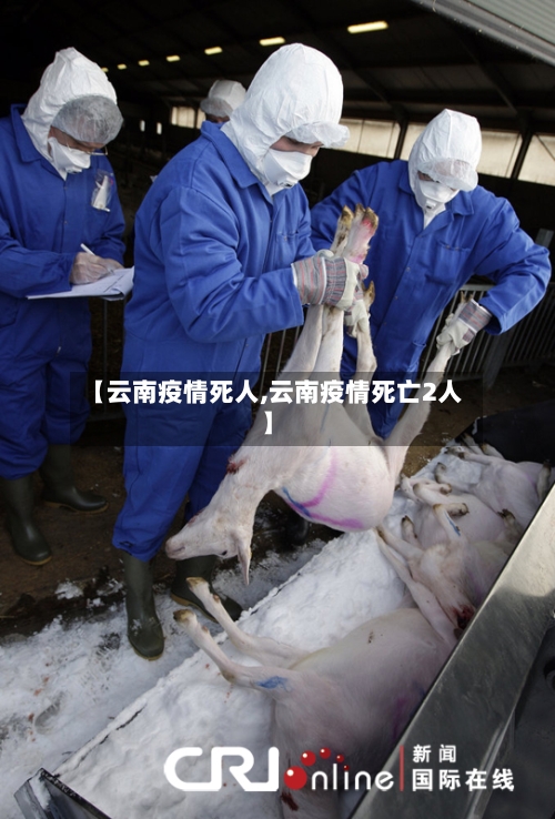 【云南疫情死人,云南疫情死亡2人】-第1张图片