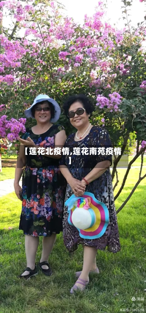 【莲花北疫情,莲花南苑疫情】-第1张图片