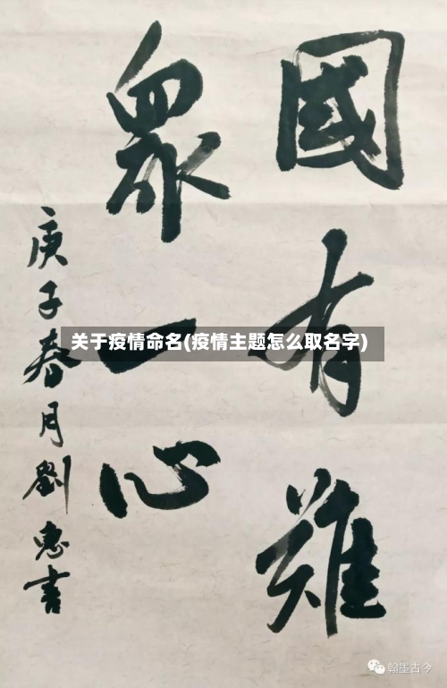 关于疫情命名(疫情主题怎么取名字)-第1张图片