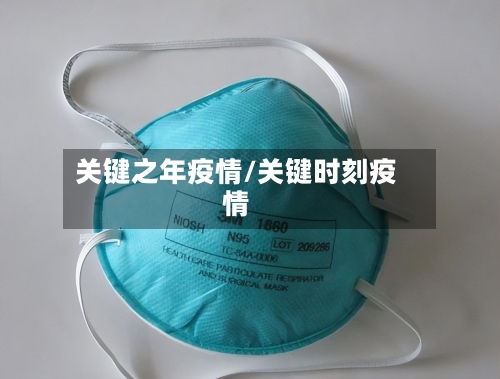 关键之年疫情/关键时刻疫情-第2张图片