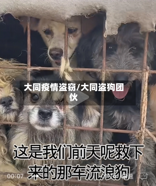 大同疫情盗窃/大同盗狗团伙-第2张图片