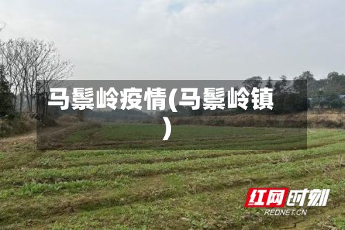 马鬃岭疫情(马鬃岭镇)-第1张图片