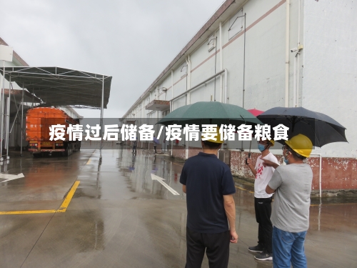 疫情过后储备/疫情要储备粮食-第2张图片