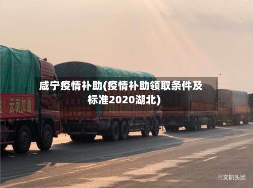 咸宁疫情补助(疫情补助领取条件及标准2020湖北)-第3张图片