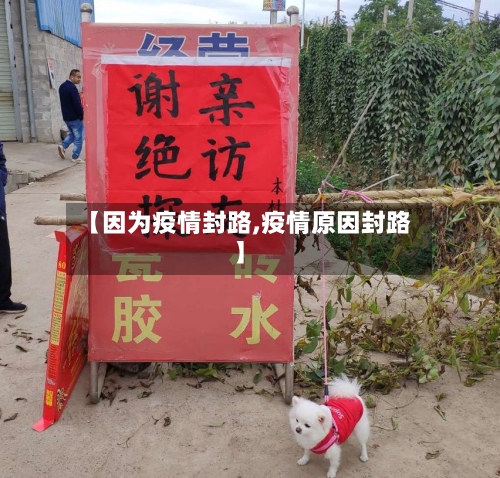 【因为疫情封路,疫情原因封路】-第2张图片