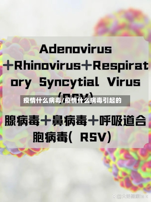 疫情什么病毒/疫情什么病毒引起的-第2张图片