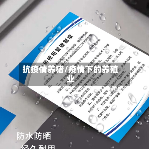 抗疫情养猪/疫情下的养殖业-第1张图片